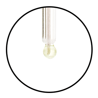 Micro Bulb